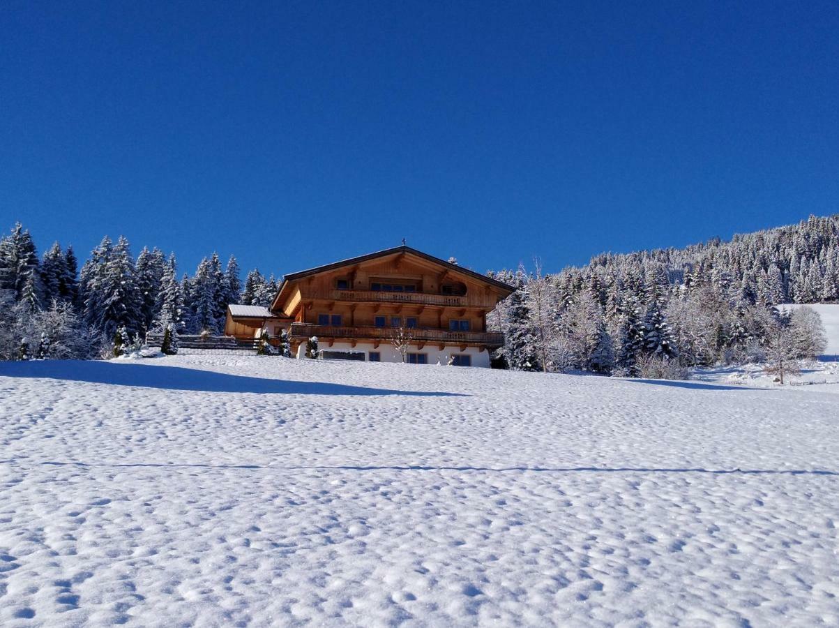Chalet Apartment Obermanzl Hopfgarten im Brixental Exterior foto